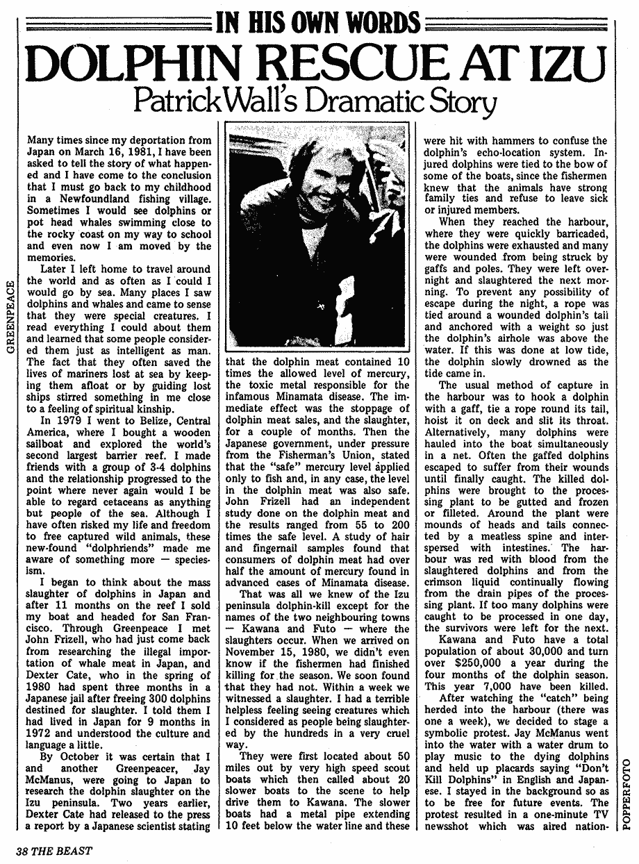 patrick wall dolphins in japan 1