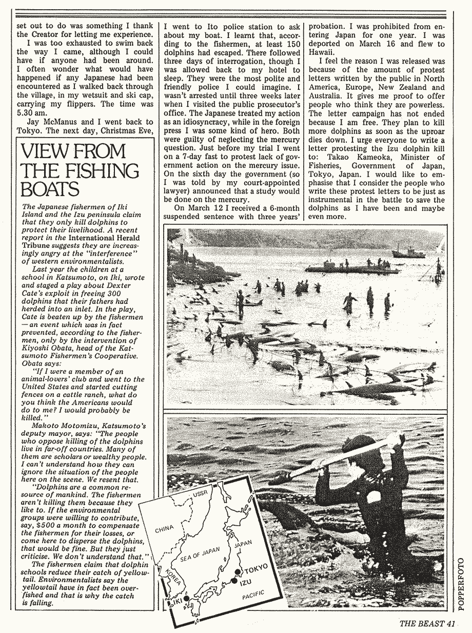 patrick wall dolphins japan 3