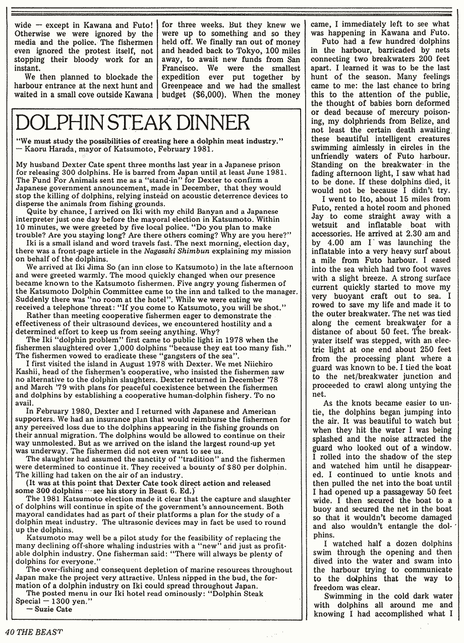 patrick wall dolphins japan 2