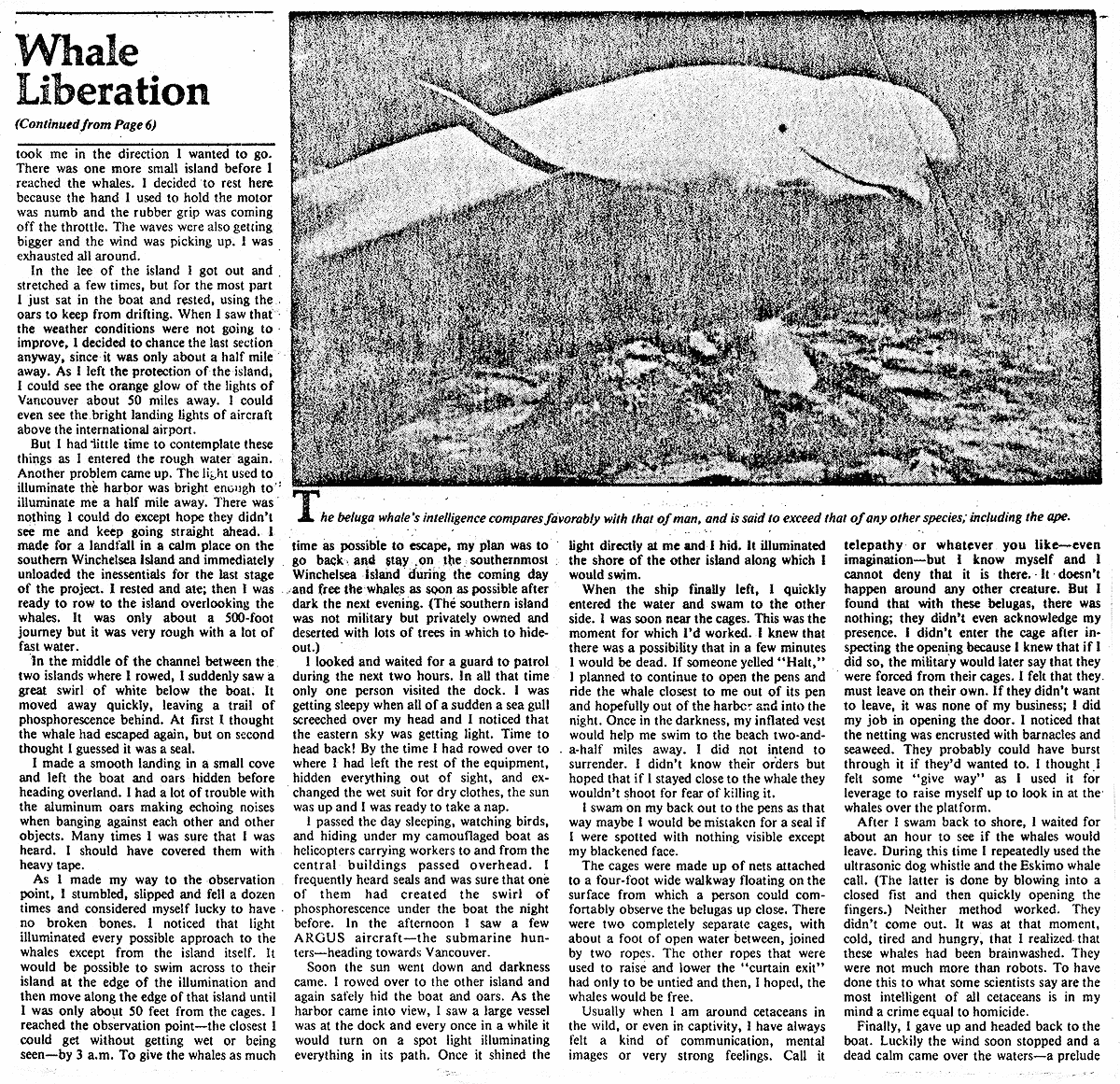 whale liberation patrick wall 3