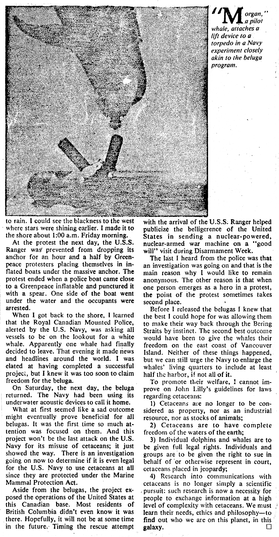 whale liberation patrick wall 4