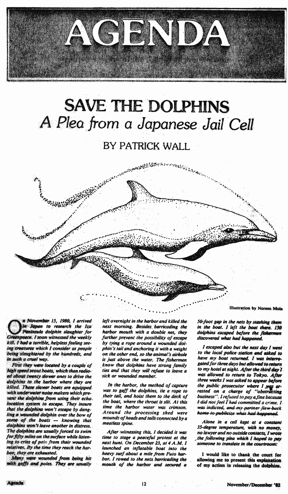 save the dolphins patrick wall